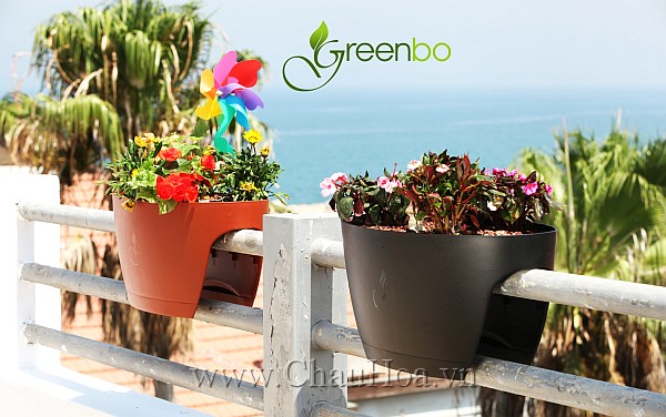 Chậu hoa nhỏ greenbo giúp bạn thêm gần gũi với thiên nhiên